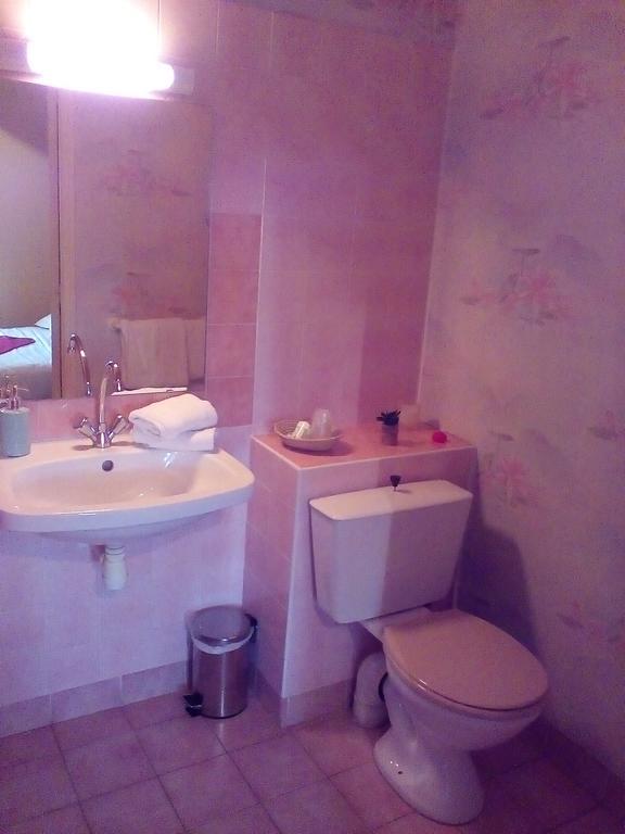 Le Relais De La Caleche Hotel Saint-Denis-dʼAnjou Екстериор снимка