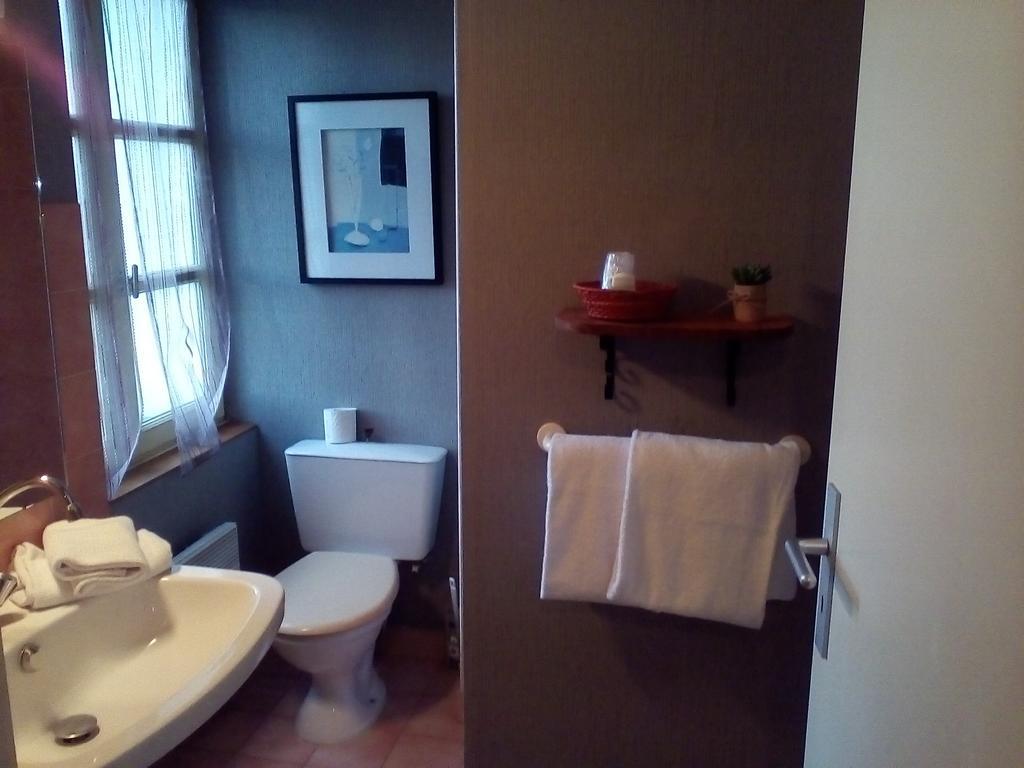 Le Relais De La Caleche Hotel Saint-Denis-dʼAnjou Екстериор снимка
